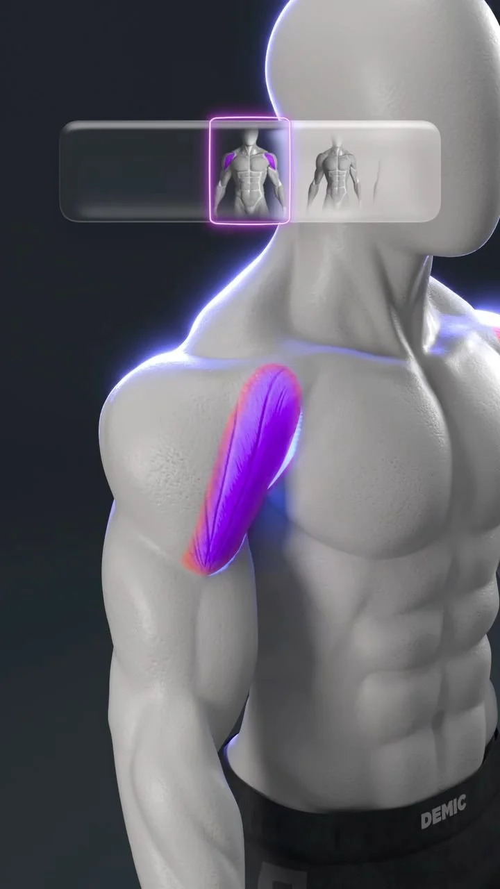 3D Shoulders Workout