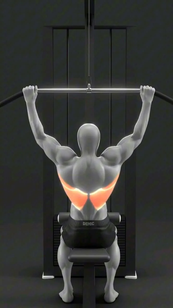 Lat Pulldown Workout
