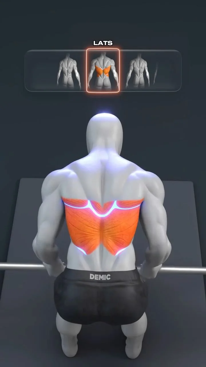 Smith Machine Row Techniques