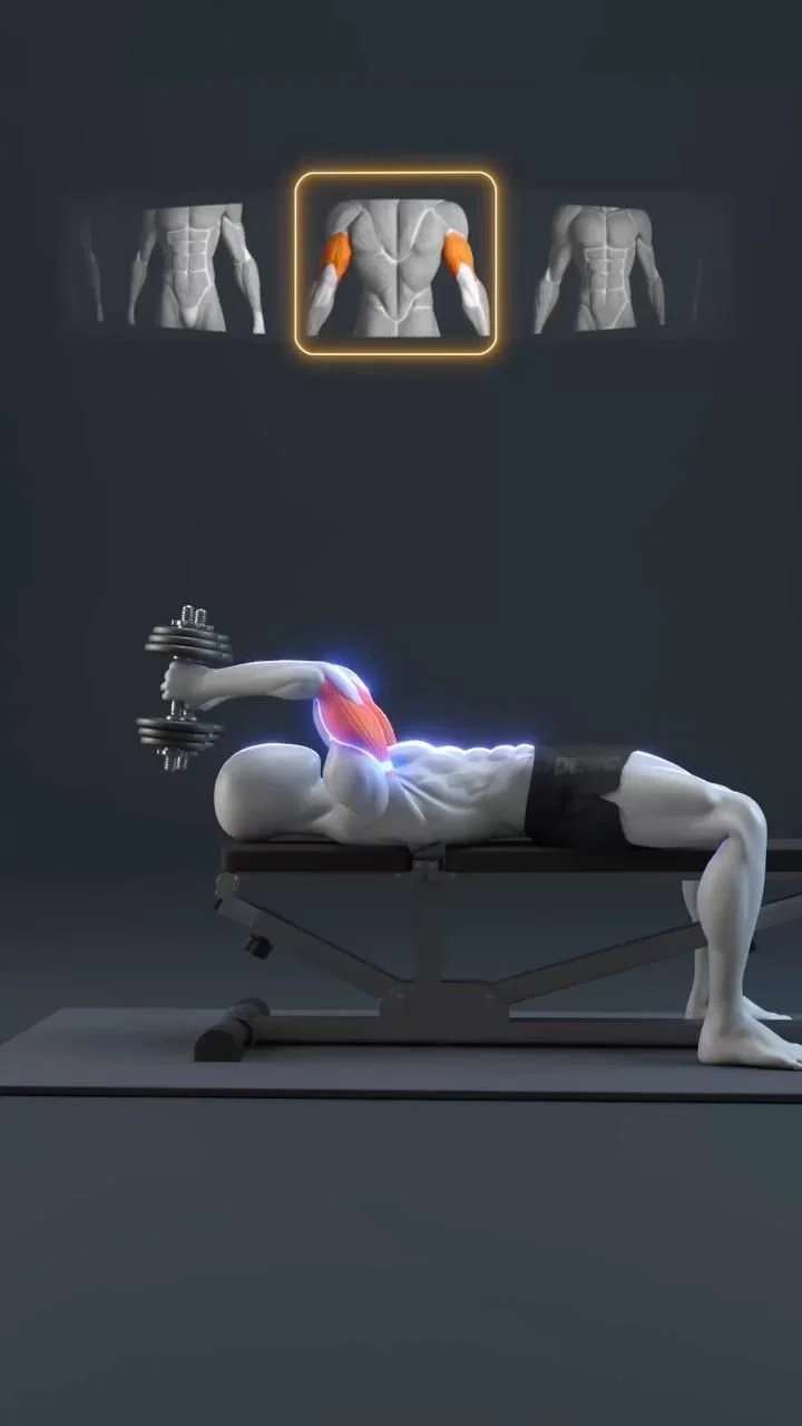 Arm Day Killer: The 5-Move Sequence for a Sleeve-Splitting Pump 🤯 You don’t need fancy machines to build massive arms! This … [Video] in 2025 | Arm day, Tricep extension, Triceps