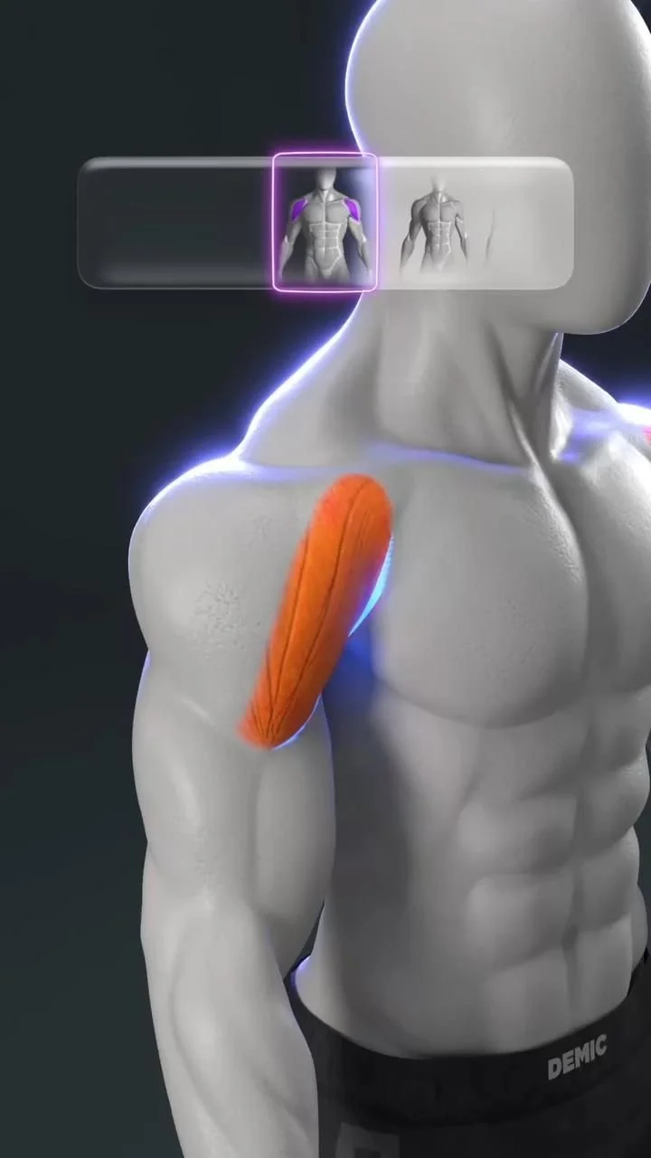 Dumbbell Shoulder Workout That Hits ALL 3 Heads 🎯 (Plus Push-Up Trick) 🔥 Is your upper body training … [Video] in 2025 | Shoulder routine, Grooming hacks, 5 minute crafts videos