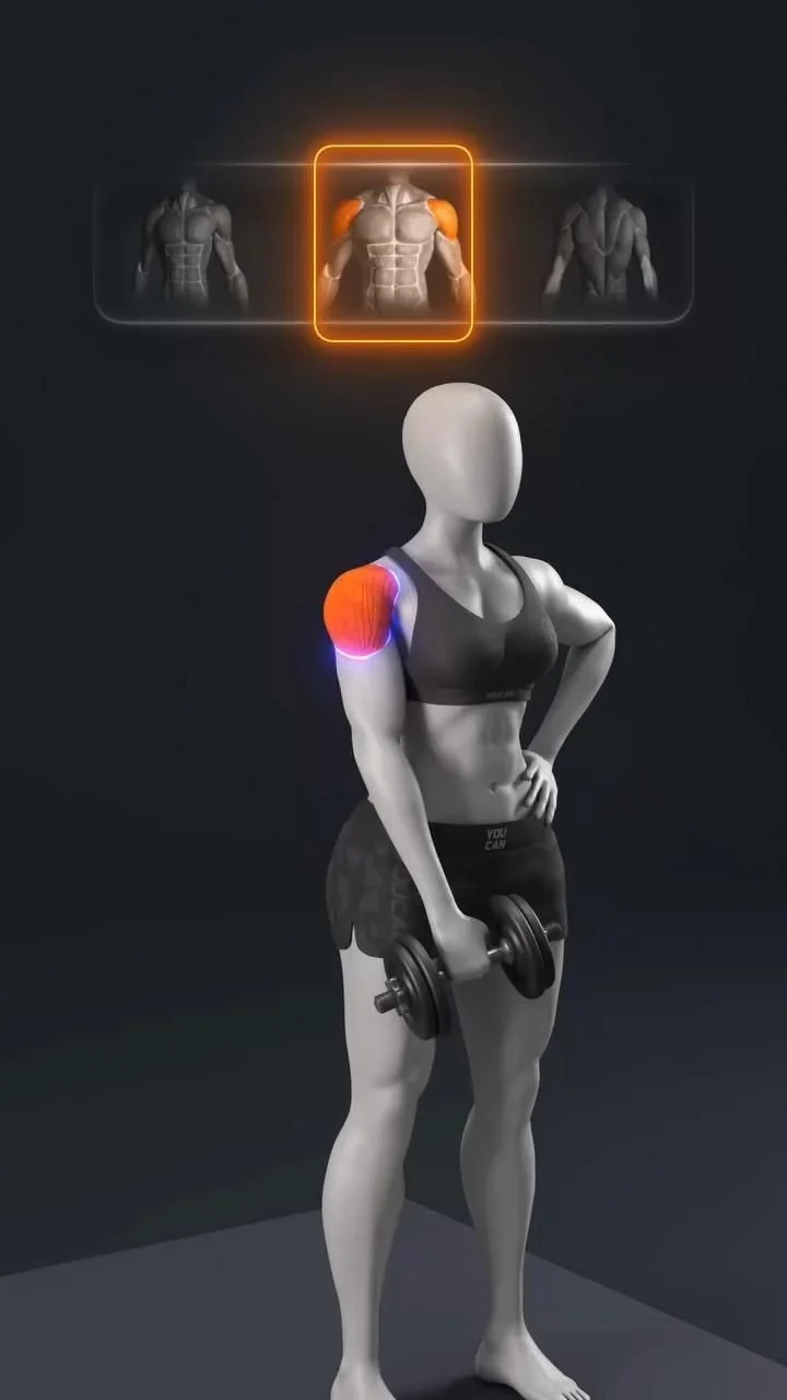 🚨 Grow All 3 Heads of Your Delts with This Circuit! 🤯 The ONLY 5 Dumbbell Shoulder Exercises… [Video] in 2025 | Workout gym routine, Shoulder workout, Gym workout plan for women