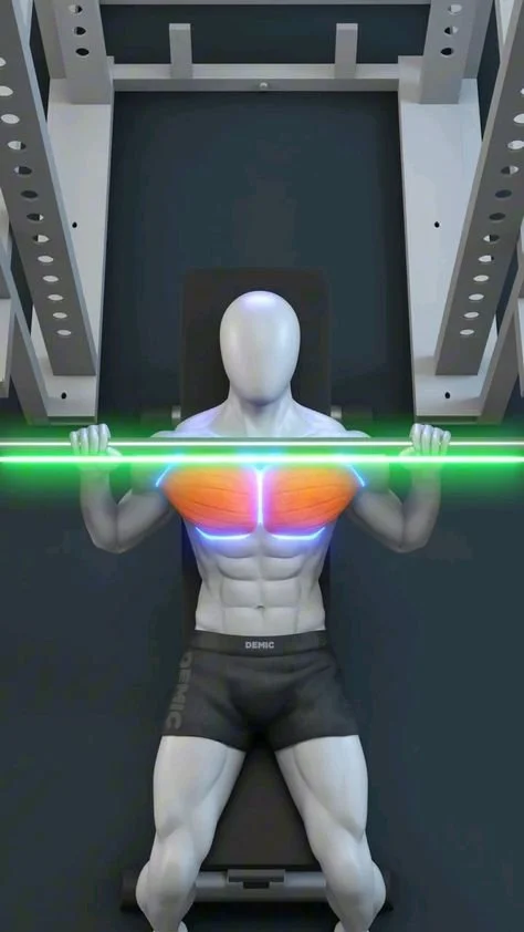 Incline Bench Press, Chest Workout