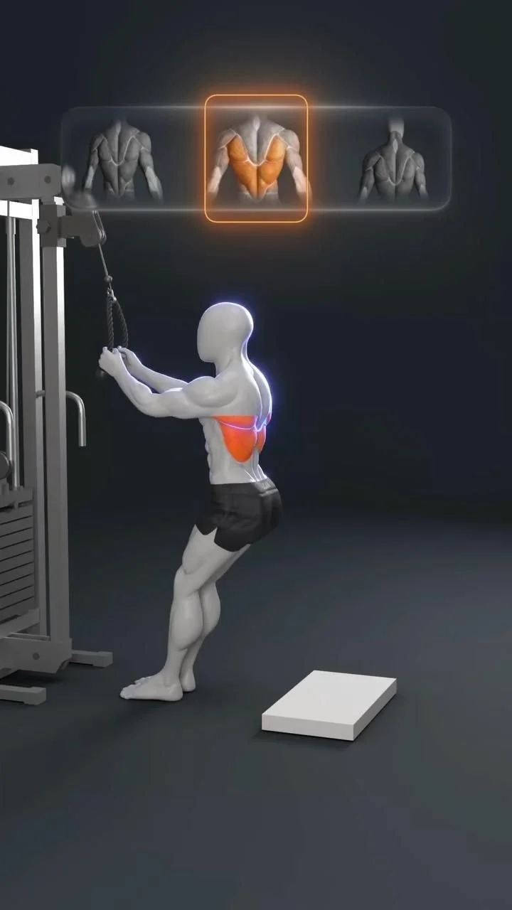 Unlock the full potential of the Seated Cable Row! 🚀 

This is one of the best exercises for a thick… [Video] in 2025 | Workout gym routine, Gym workout apps, Back workout routine