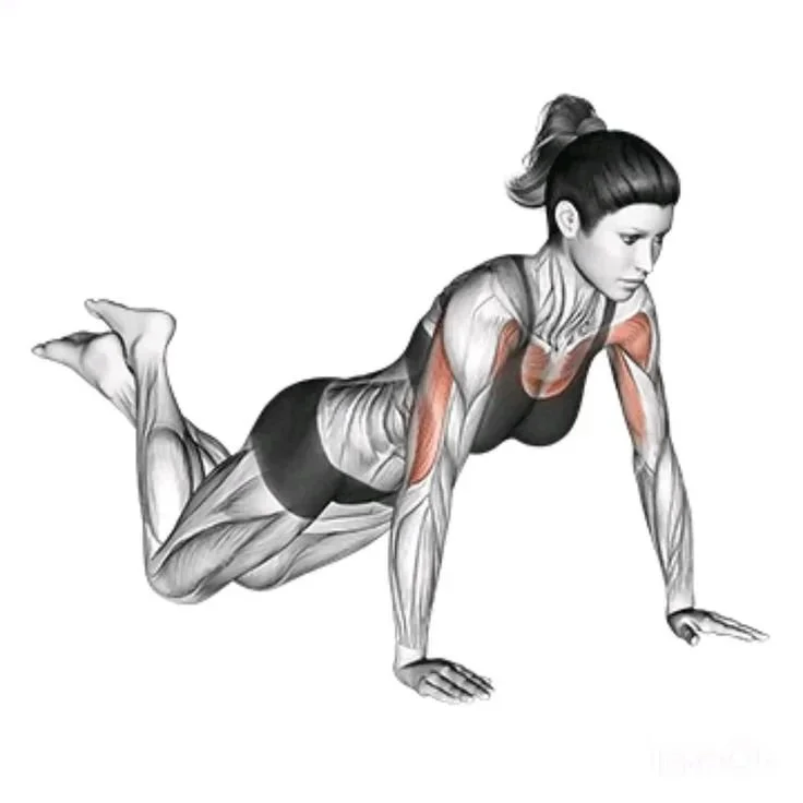 discover the Best Knee push up you can do