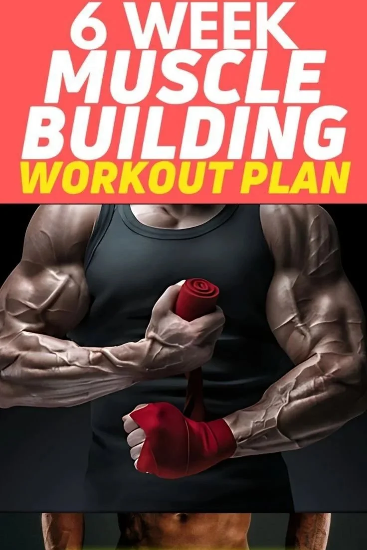 How to Create a Muscle Building Plan: Simple Guide for Maximum Gains